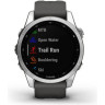 Часы GARMIN FENIX 7S SILVER WITH GRAPHITE BAND 11158